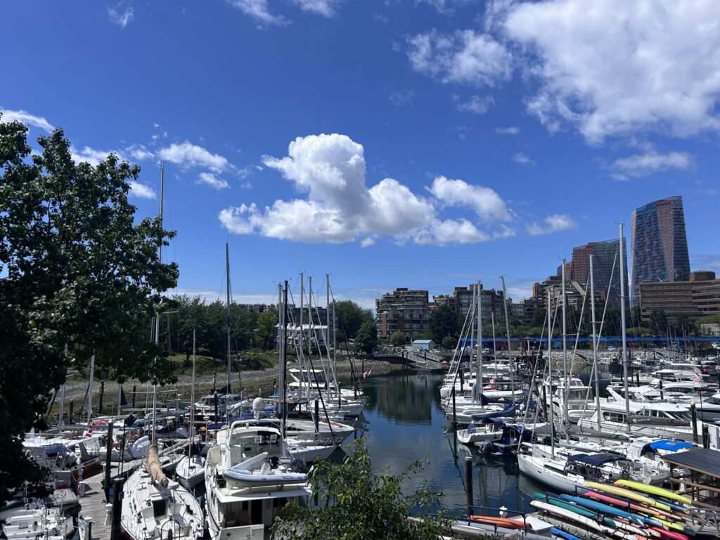 A background photo showing the view of the pier from outside the clinic at Granville Island